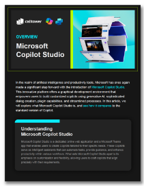 MSFT Copilot Overview